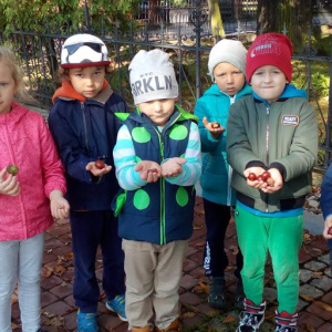 IMG_20170919_110301 (Copy)